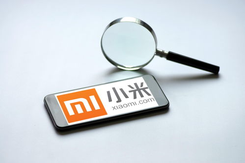 小米強(qiáng)化隱私保護(hù)與信息安全 第一優(yōu)先級(jí)的戰(zhàn)略抉擇